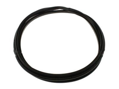 2003 Ford Expedition Weather Strip - 2L1Z-7842084-AA