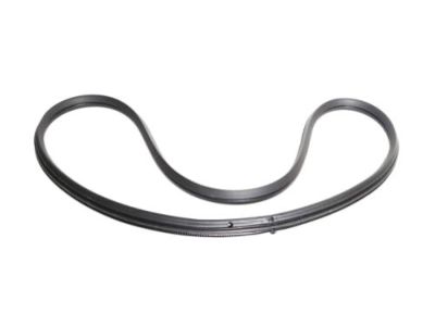 Mercury Weather Strip - XF2Z-1629904-AA