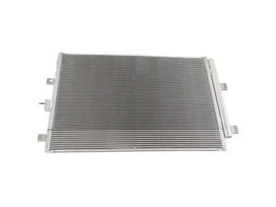 Ford A/C Condenser - F2GZ-19712-F