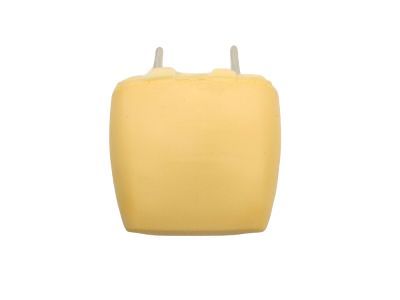 Ford AG1Z-54611A09-A Headrest - Cover And Pad