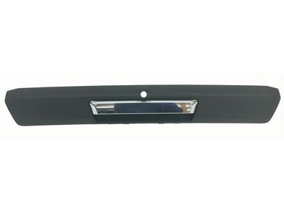 2017 Ford F-550 Super Duty Tailgate Handle - HC3Z-9943400-BA