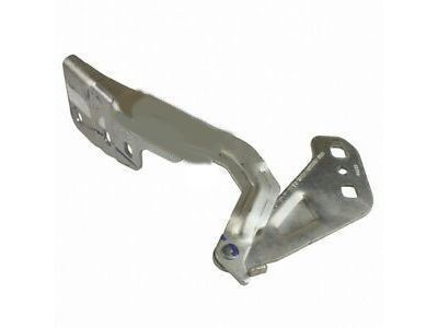 Ford DP5Z-16796-A Hinge Assembly - Hood