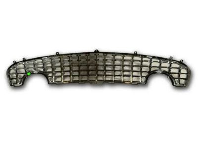 Ford 1W6Z-8200-AAA Grille - Bumper