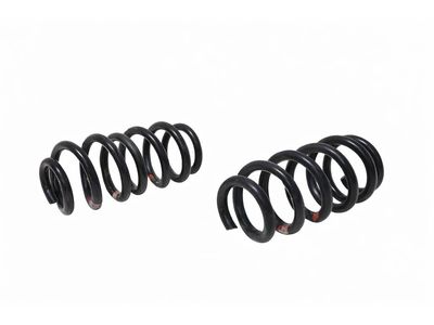 Lincoln Aviator Coil Springs - LC5Z-5560-E