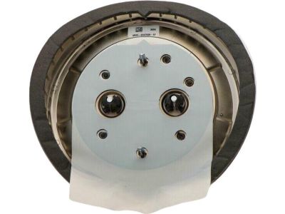 Ford Mustang Emblem - AR3Z-6342528-A