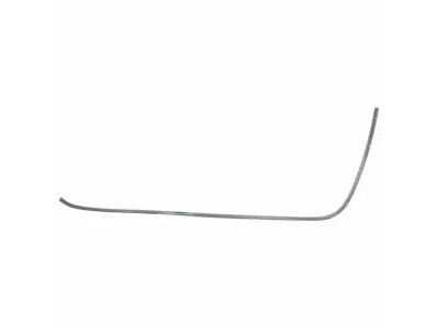 Ford 2L1Z-78253A20-AA Retainer Weatherstrip 2L1Z-78253A20-AA Ford Retainer Weatherstrip Product Photo 1 of 1