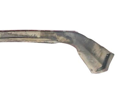 Ford DS7Z-17810-CAPTM Extension - Bumper Bar - Side