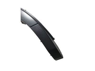Ford FB5Z-7829164-AA Moulding