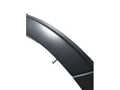 Ford FB5Z-7829164-AA Moulding