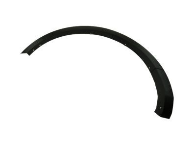 Ford FB5Z-7829164-AA Moulding