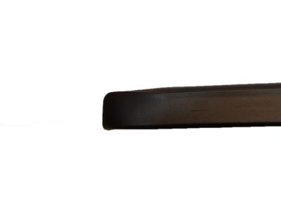 Ford 7L1Z-7851692-A Moulding - Roof Drip Rail Finish