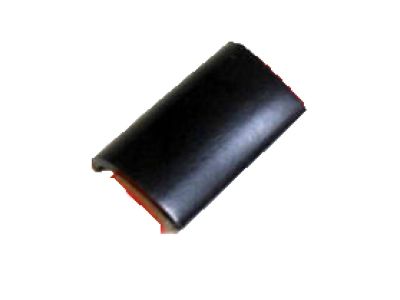 Ford 7L3Z-1520910-A Moulding