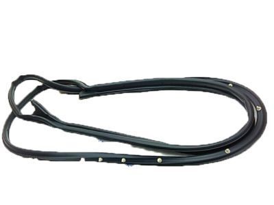 2005 Ford Five Hundred Weather Strip - 8G1Z-5420530-A