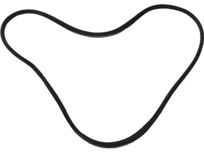 2015 Ford Focus Door Seal - BM5Z-58253A11-A