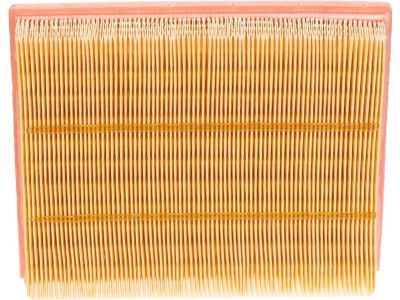 Lincoln Air Filter - DS7Z-9601-D