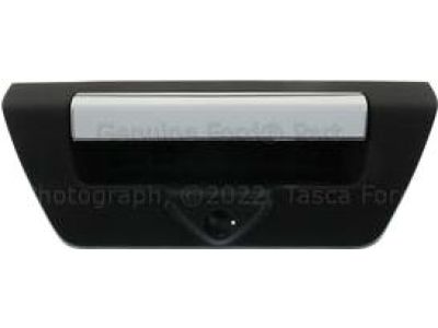 Ford F-150 Tailgate Handle - JL3Z-9943400-JAPTM