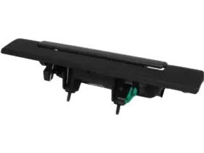 Ford F-150 Tailgate Handle - JL3Z-9943400-JAPTM