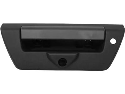 Ford F-150 Tailgate Handle - JL3Z-9943400-JAPTM