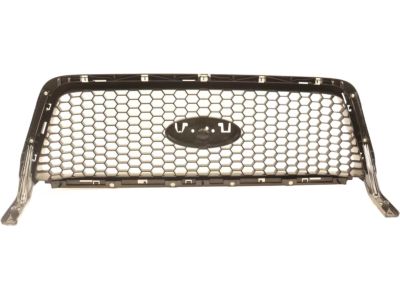 2005 Ford F-150 Grille - 4L3Z-8200-CAPTM