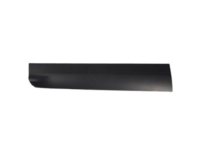 JJ5Z-7820879-AA Ford Door Outside Moulding Product Photo 1 of 1