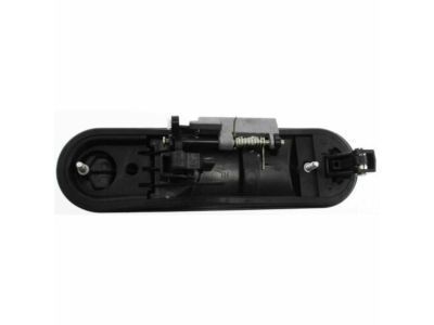 Ford 6L2Z-7826605-BBPTM Handle Assy - Door - Outer