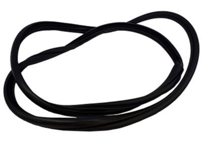 Mercury Montego Door Seal - 7G1Z-54253A11-A