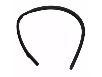 2011 Ford Ranger Door Seal - 8L5Z-1351222-A