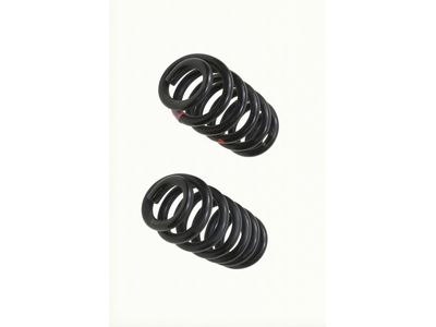 Lincoln Aviator Coil Springs - LC5Z-5560-E
