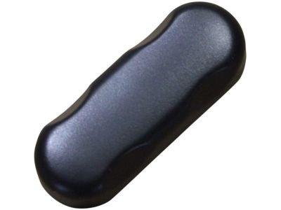 Ford 1L2Z-14711-AA Knob - Control