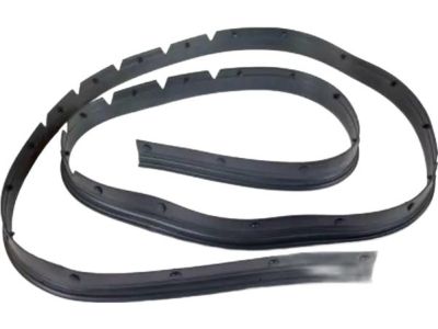BB5Z-16B990-A Ford Weatherstrip Product Photo 3 of 3
