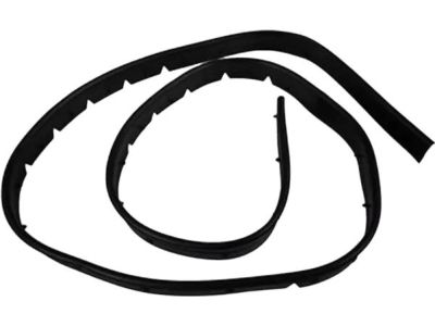 BB5Z-16B990-A Ford Weatherstrip Product Photo 1 of 3