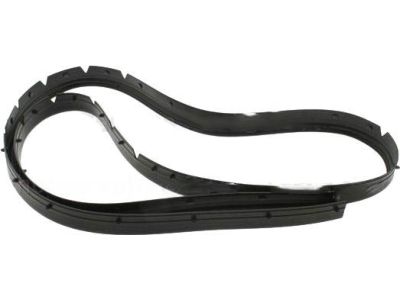 BB5Z-16B990-A Ford Weatherstrip Product Photo 2 of 3