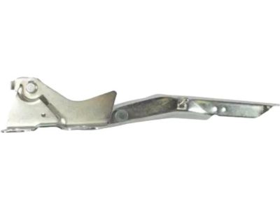Ford Expedition Hood Hinge - CL1Z-16796-A