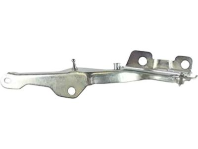 Ford Expedition Hood Hinge - CL1Z-16796-A