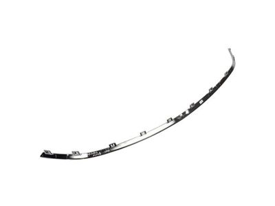 Lincoln DP5Z-8419-AA