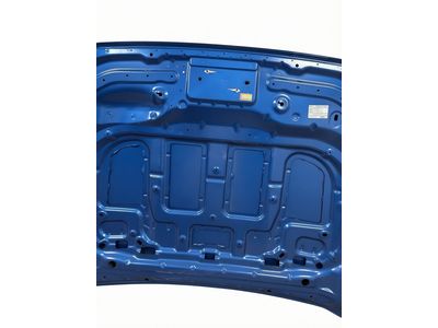 Ford Ranger Hood - N1WZ-16612-V