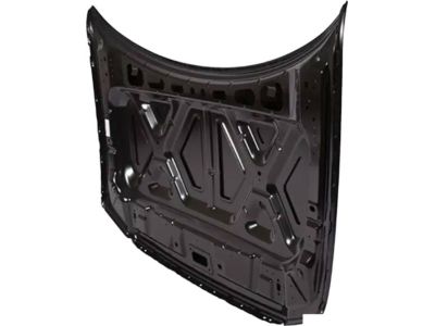2008 Ford F-150 Hood - 4L3Z-16612-AA