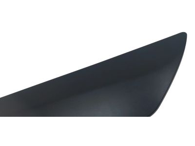 2022 Ford Transit Connect Door Moldings - DT1Z-6129077-CD