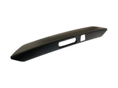 Ford DT1Z-5843400-CA Handle - Luggage Compartment