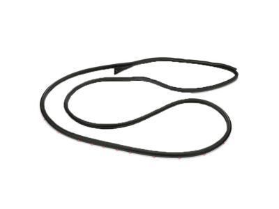 2011 Ford E-450 Super Duty Weather Strip - 4C2Z-1520531-AA