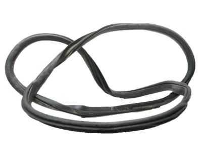 Ford FL3Z-1520709-A Weatherstrip Assembly - Door Opening