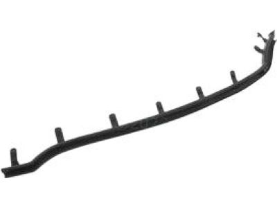 DP5Z-5425556-AA Ford Door Outside Moulding Product Photo 1 of 4