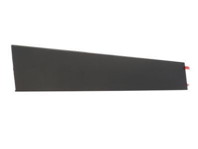 2012 Ford Explorer Door Moldings - BB5Z-7820555-BA