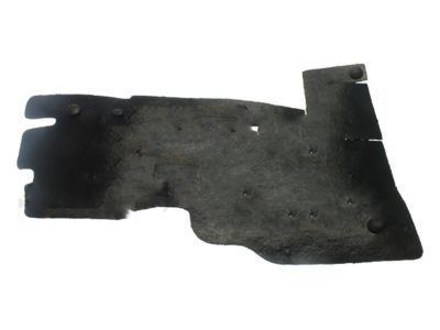 2002 Ford F-150 Air Deflector - F75Z-8310-AA