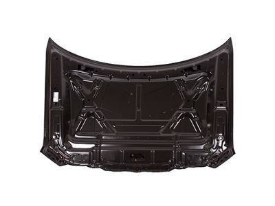 2010 Ford F-150 Hood - 9L3Z-16612-A