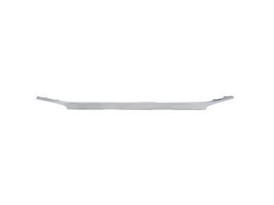 Ford Grille - AE5Z-8200-C