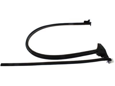 2002 Ford F-250 Super Duty Door Seal - F81Z-28253A37-AA