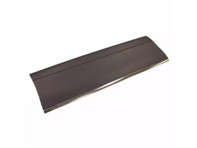 Lincoln Town Car Door Moldings - 6W1Z-5420879-APTM