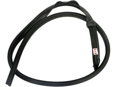 Ford F-150 Weather Strip - 5L3Z-1651222-AA