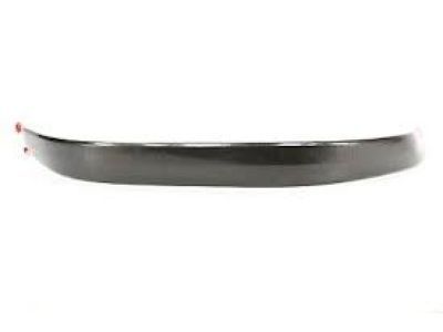 Ford F-250 Super Duty Door Moldings - 5C3Z-2625532-AAB